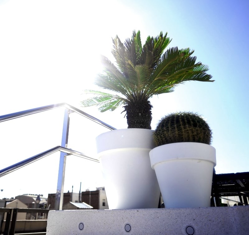 BARCELONA - Claris Hotel