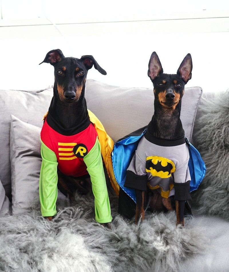 Batman & Robin