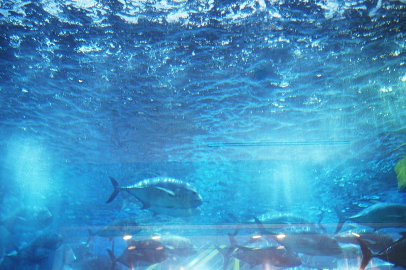 Dubai osa 1