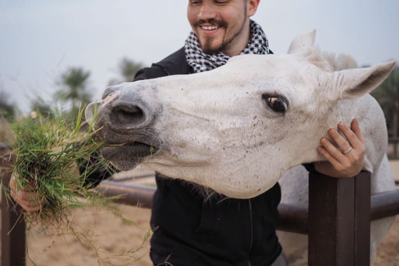 Dubai osa 5