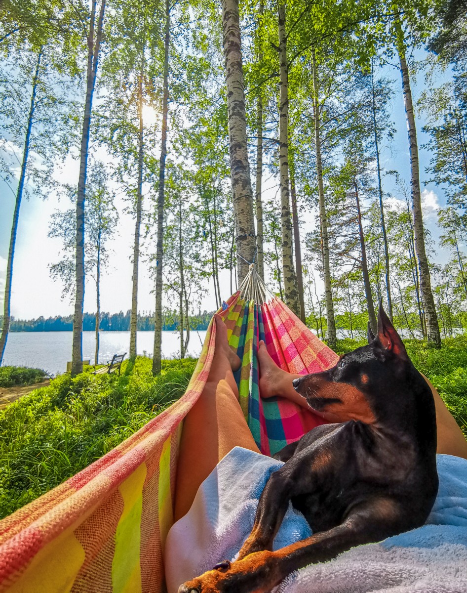Hei hei kesä