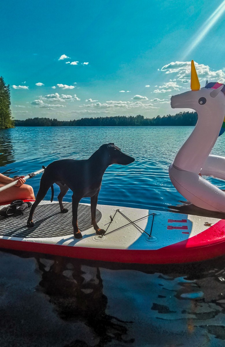 Hei hei kesä