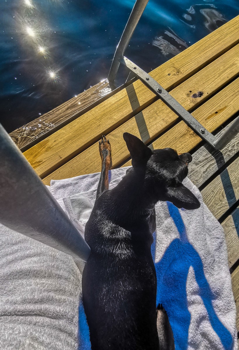 Hei hei kesä