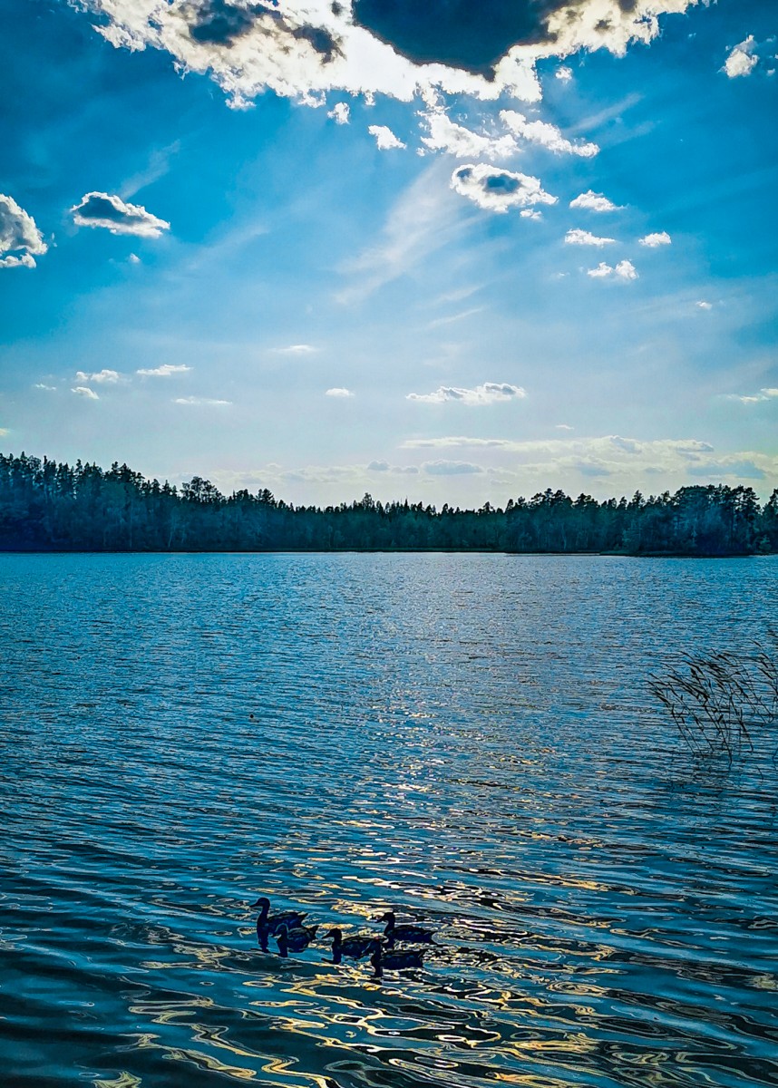 Hei hei kesä