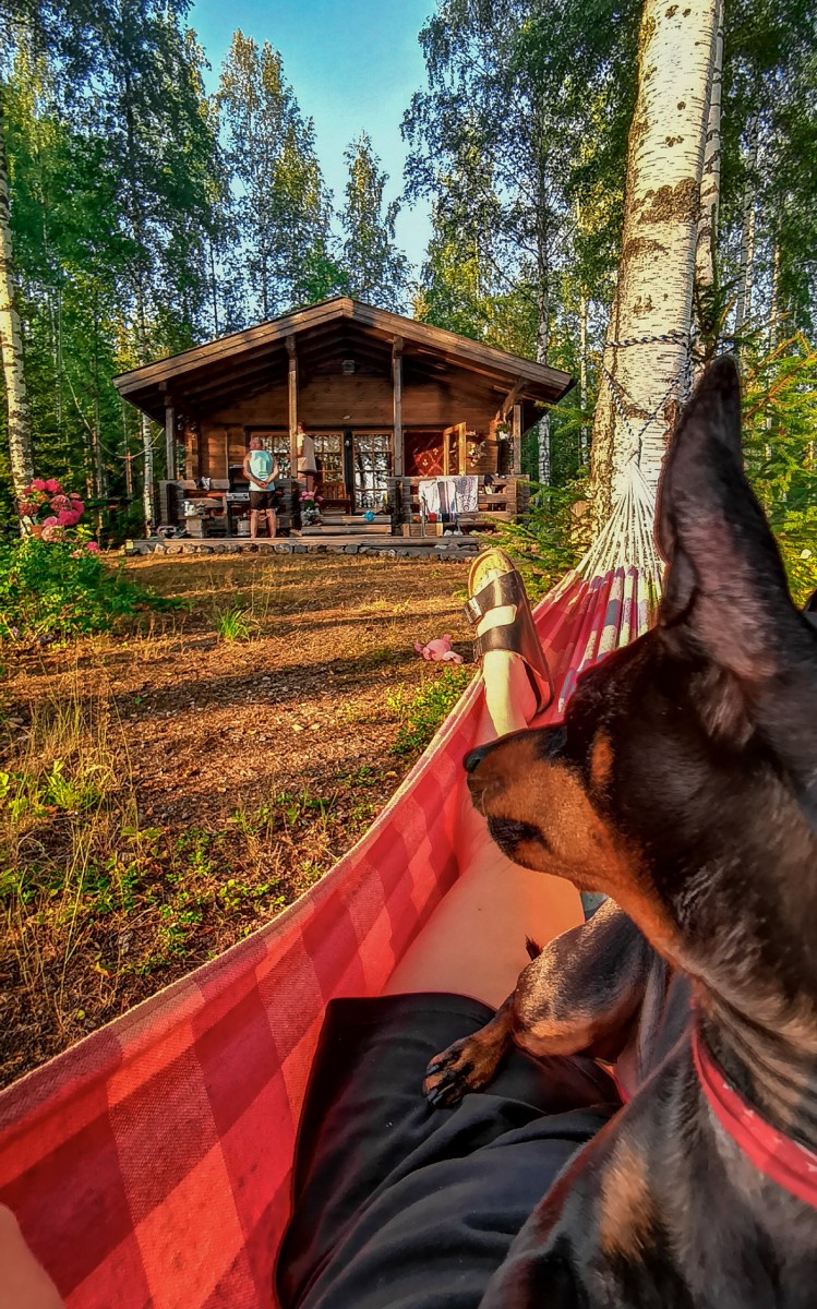 Hei hei kesä