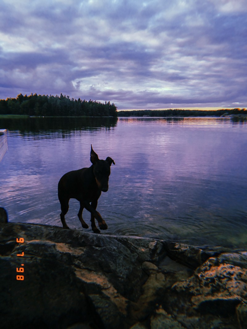 Mökillä taas