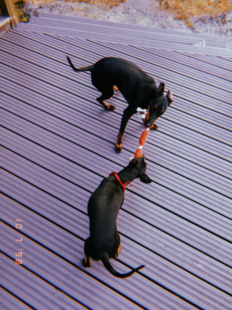 Mökillä taas
