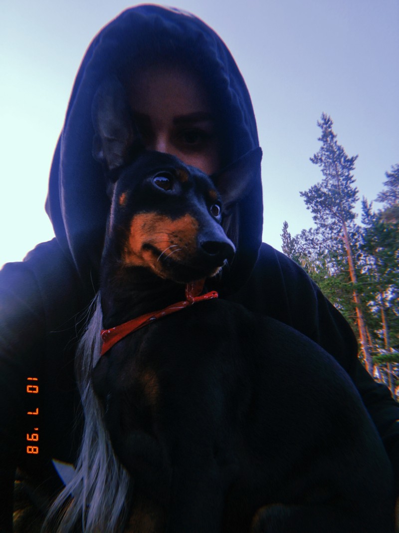 Mökillä taas