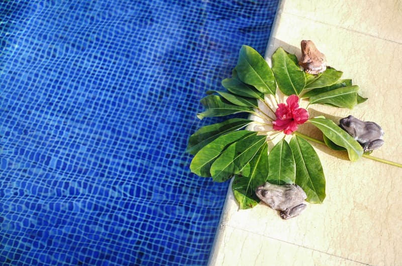 MyDay Teneriffalla