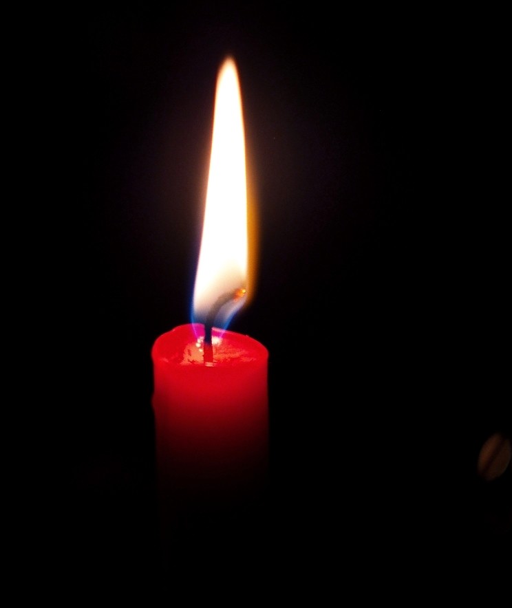 Perhe koolla