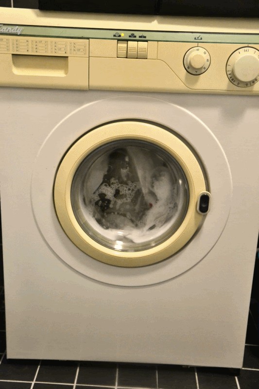 Rauhallinen päivä