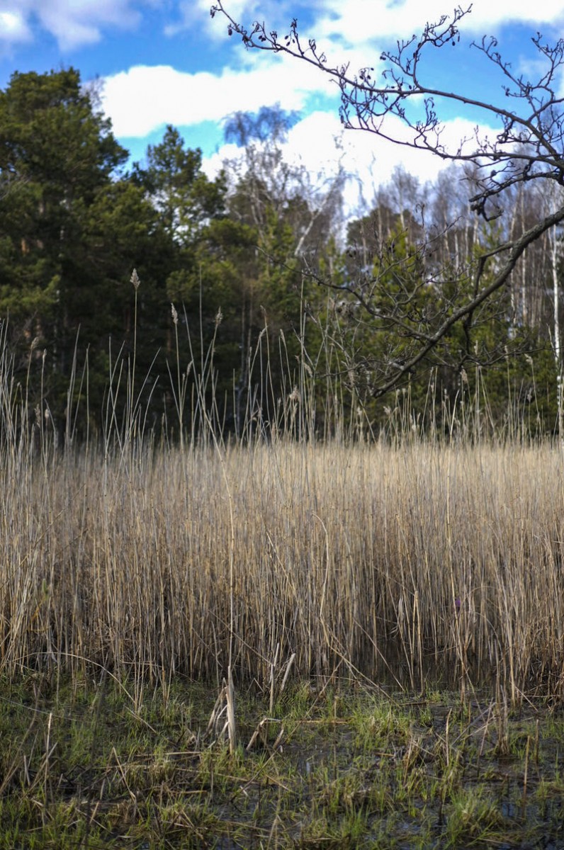 Reissu Uutelaan