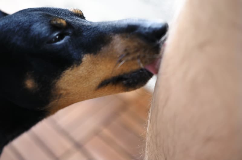 Rentoutumista