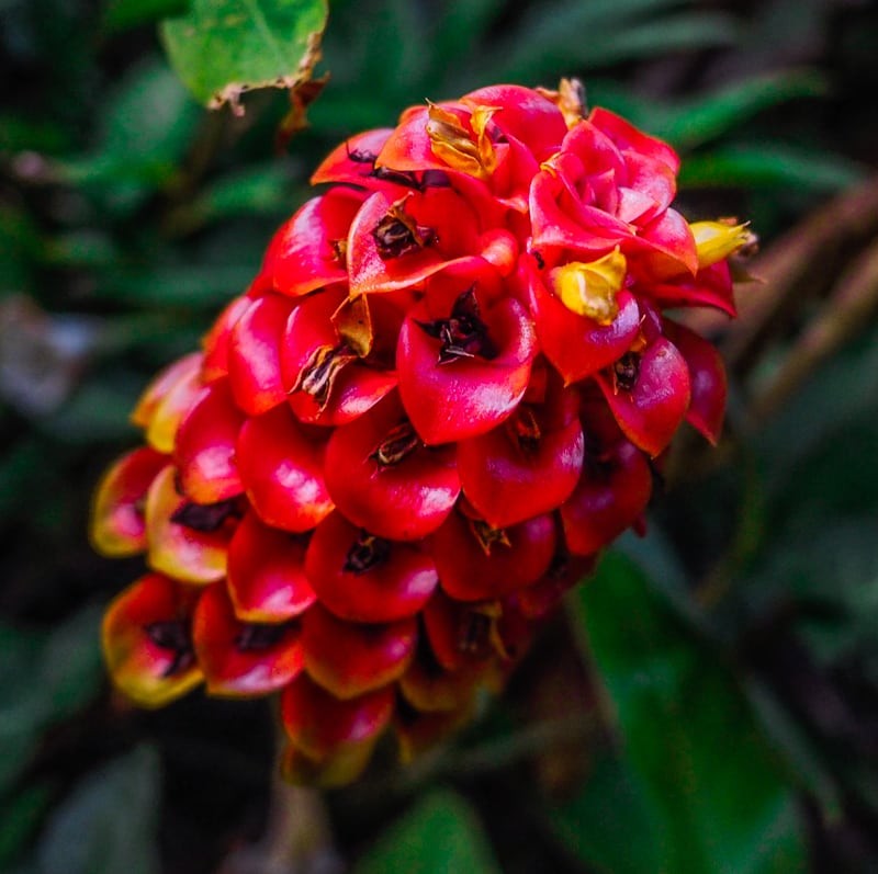 THAILAND - DAY2 Bangkok / Loei