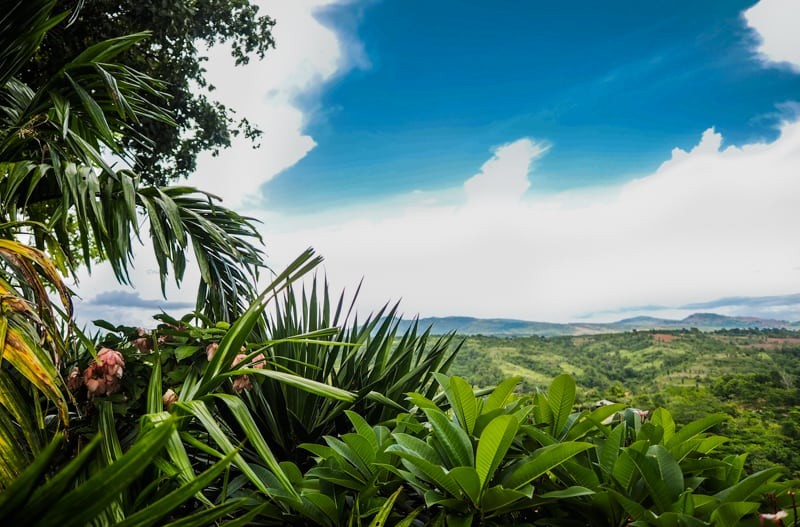 THAILAND - DAY3 Loei