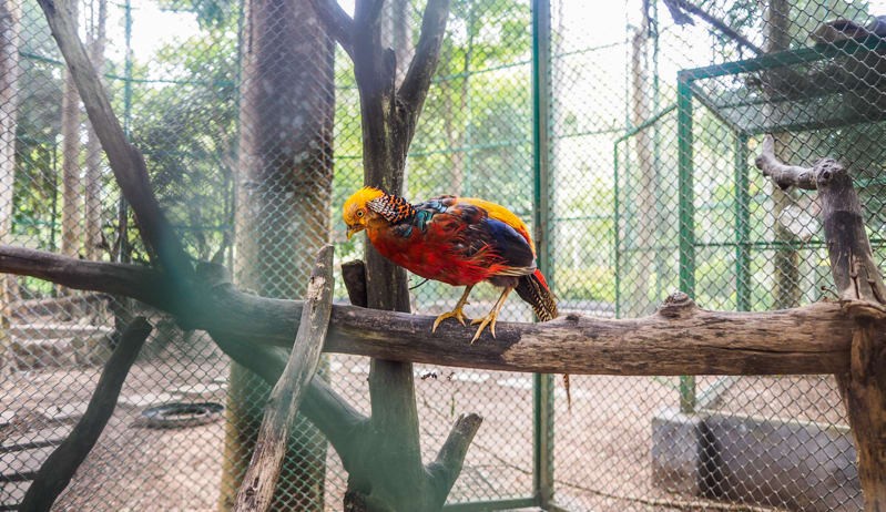 THAILAND - DAY3 Loei