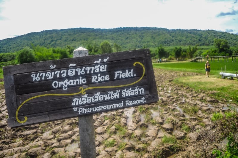 THAILAND - DAY4 Loei
