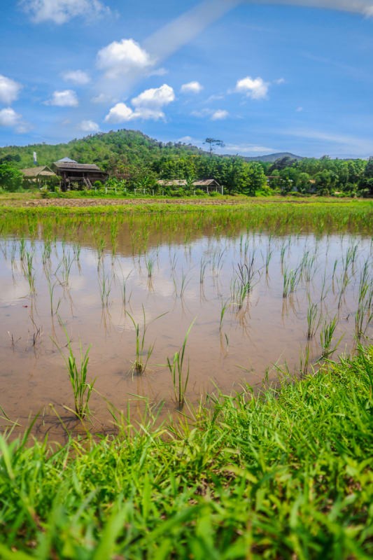 THAILAND - DAY4 Loei