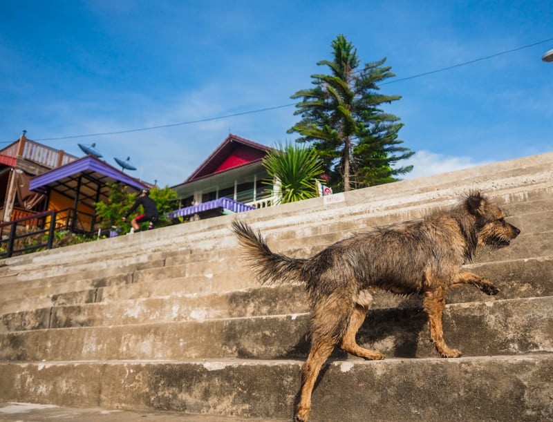 THAILAND - DAY4 Loei
