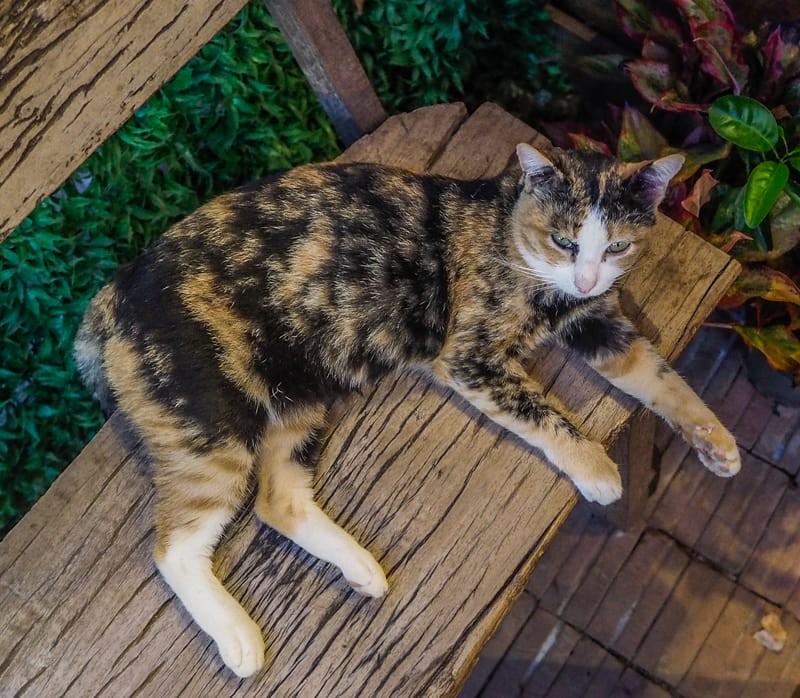 THAILAND - DAY4 Loei