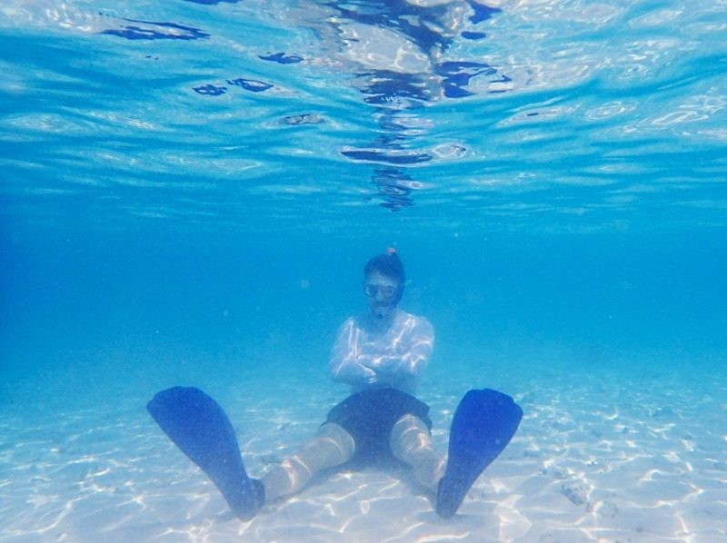 under the sea